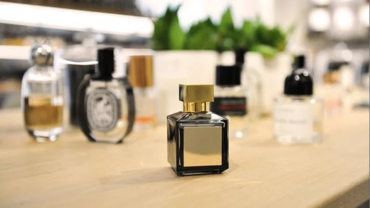 Education - Perfumes - Perfume