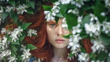 Education, Ingredients, Perfum